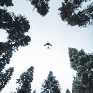 Album Plane (feat. Krev) oleh JUNIK