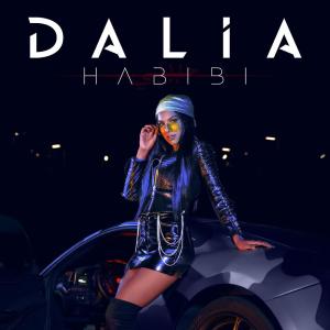 Listen to Habibi (Instrumental) song with lyrics from Dalia