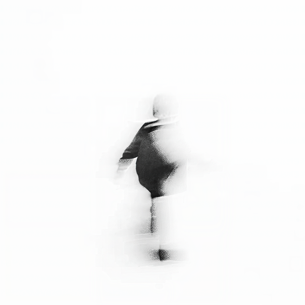 叶不椰