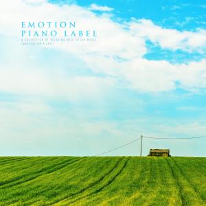 Album A Collection Of Relaxing Meditation Music (Meditation Piano) from Korea Various Artists