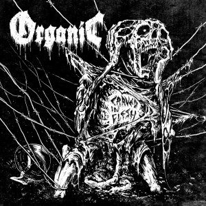 收听Organic的Der Fotzenknecht歌词歌曲