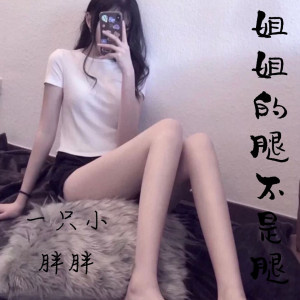 ดาวน์โหลดและฟังเพลง 姐姐的腿不是腿 พร้อมเนื้อเพลงจาก 一只小胖胖