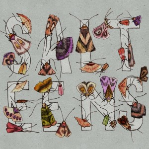 收聽Salteens的All We Want Is What You've Got歌詞歌曲