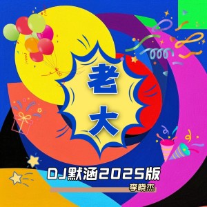 李晓杰的专辑老大 (DJ默涵2025版)