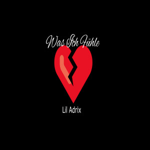 Listen to Was Ich Fühle (Explicit) song with lyrics from Lil Adrix