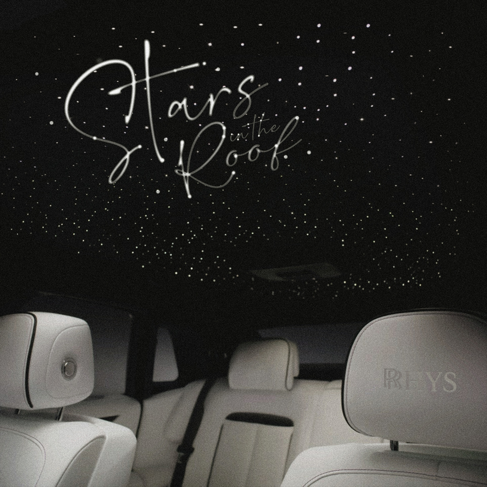 Stars in the Roof