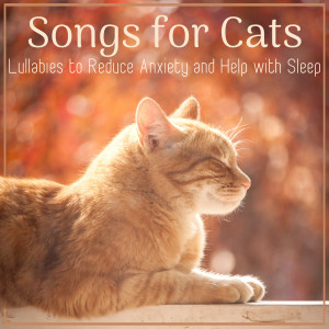 收聽RelaxMyCat的Cat Lullaby歌詞歌曲