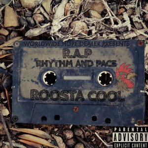 Listen to Pimp Dat Beat Mack My Voice (Explicit) song with lyrics from ROOSTA COOL