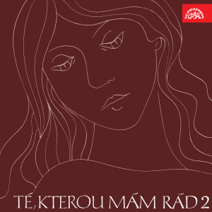 Té, kterou mám rád II. dari Various Artists