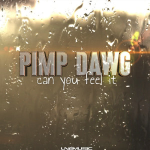 Pimp Dawg的專輯Can You Feel It