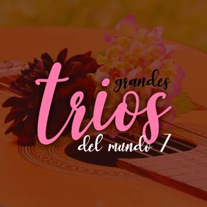 Album Grandes Trios del Mundo 7 oleh Various