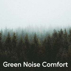 Natural White Noise Relaxation的專輯Green Noise Comfort