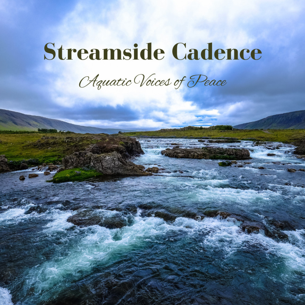 River's Serenade in Flow