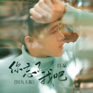 อัลบัม 你忘了我吧(DJ九天版) ศิลปิน 吕品