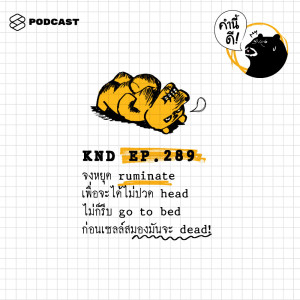ดาวน์โหลดและฟังเพลง EP.289 จงหยุด ruminate เพื่อจะได้ไม่ปวด head ไม่ก็รีบ go to bed ก่อนเซลล์สมองมันจะ dead! พร้อมเนื้อเพลงจาก ดารานักร้องหลายคน