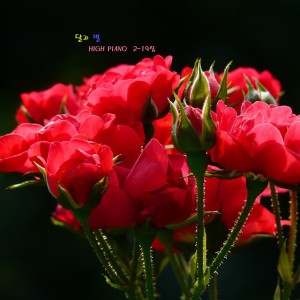 HIGH PIANO的专辑아기의 감성발달과 숙면을 위한 자장가 - 달과 별