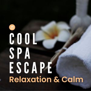 Power Shui的專輯Cool Spa Escape: Relaxation & Calm