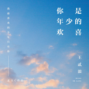 收聽王貳浪的你是年少的歡喜 (伴奏)歌詞歌曲