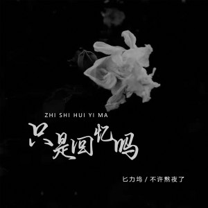 Listen to 只是回忆吗 song with lyrics from 匕力坞
