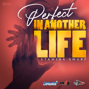 Album Perfect in Another Life from Stamina Smurf