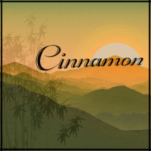 ดาวน์โหลดและฟังเพลง Cinnamon พร้อมเนื้อเพลงจาก Bubz