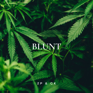 收聽2P O TREM的Blunt歌詞歌曲