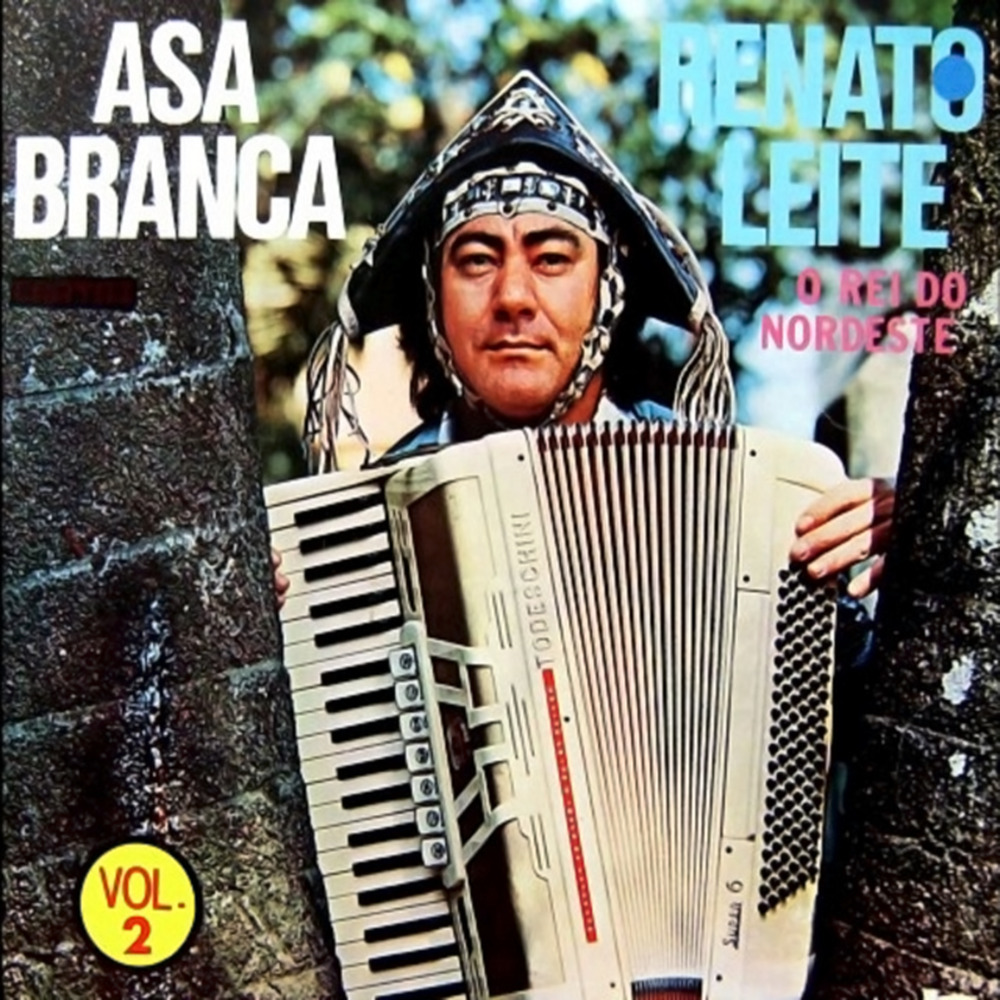 Sanfoneiro quente