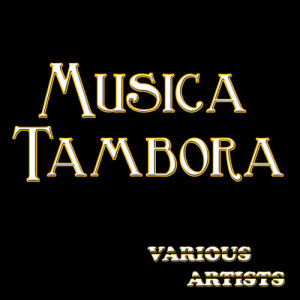 ดาวน์โหลดและฟังเพลง La Nina Perdida พร้อมเนื้อเพลงจาก Banda los Mochis de Porfirio Amarillas