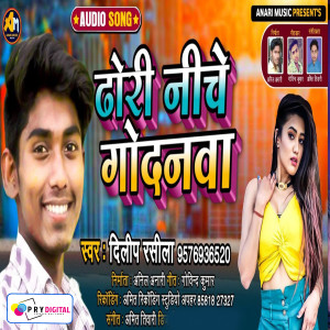 Listen to Dhori Niche Godanawa song with lyrics from Dilip Rasila