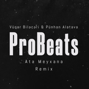 Listen to Ata Meyxana (Remix) song with lyrics from ProBeats