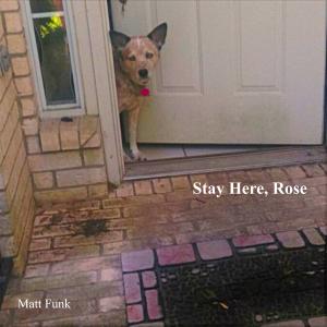 收聽Matt Funk的Roses On A Sunny Day歌詞歌曲