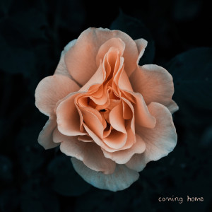 Czarina Frost的专辑Coming Home