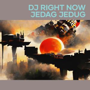 Album Dj Right Now Jedag Jedug oleh DION TUALAKA
