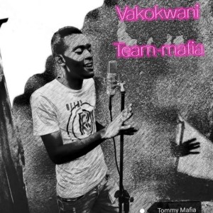 收聽Team Mafia的Vakokwani歌詞歌曲