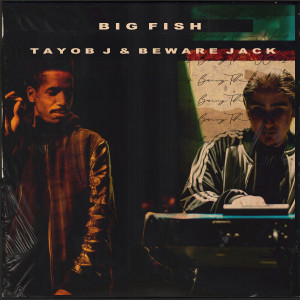 Listen to Big Fish (Explicit) song with lyrics from Tayob J.