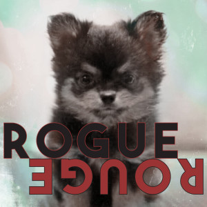 อัลบัม Rogue Rouge ศิลปิน Amber Liu