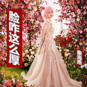 秦海燕的专辑脸咋这么厚
