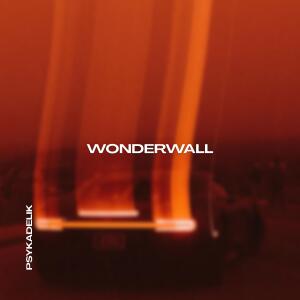 Dengarkan lagu WONDERWALL (TECHNO) nyanyian PSYKADELIK dengan lirik