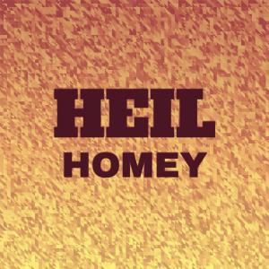 Dengarkan Heil Homey lagu dari Macs Teja dengan lirik