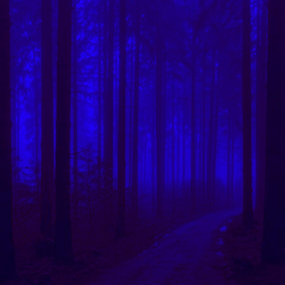 insomnia
