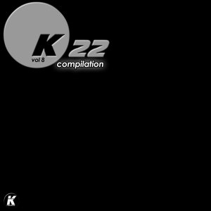 Listen to Wild Low (K21 Extended) song with lyrics from Ils