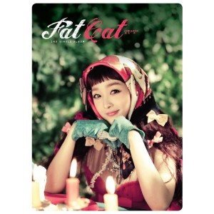 Listen to Do you only care about the looks? song with lyrics from Fat Cat