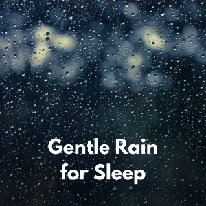 Relaxing Rain Sounds的專輯Gentle Rain for Sleep