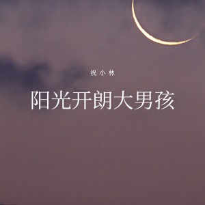 Listen to 阳光开朗大男孩 (完整版) song with lyrics from 祝小林