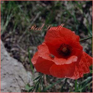 Listen to Red Smell song with lyrics from Rida Boky