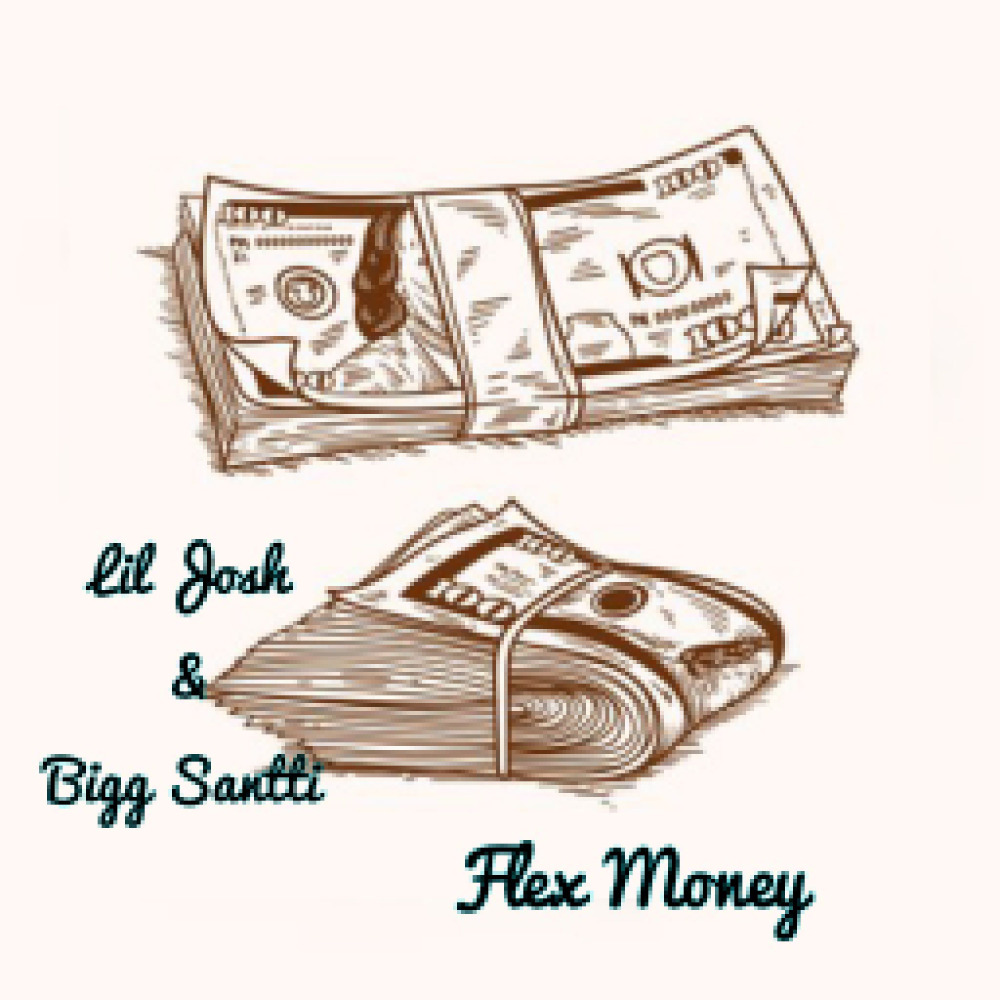 Flex Money