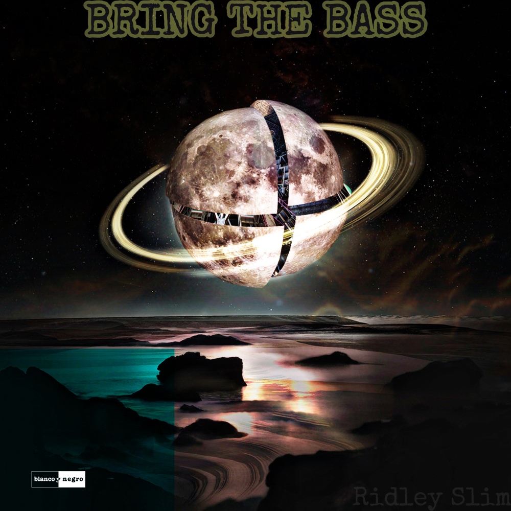 Bring The Bass