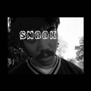 Album No Front / Hummin oleh Snook