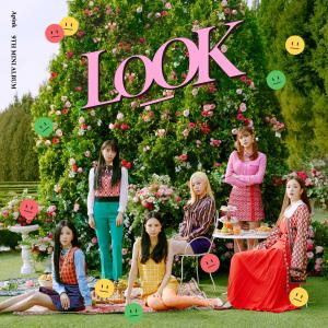 Album LOOK from Apink (에이핑크)