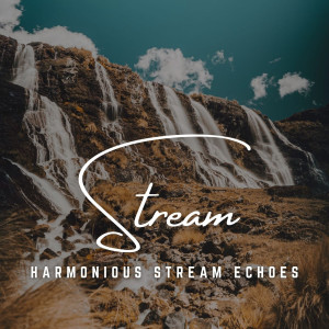 Acoustic Streams: Harmony of Nature